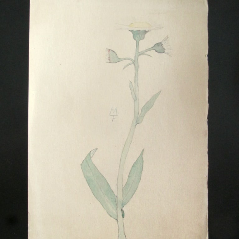Flower - Mildred Grade 8 School Girl Art (1 of 3)