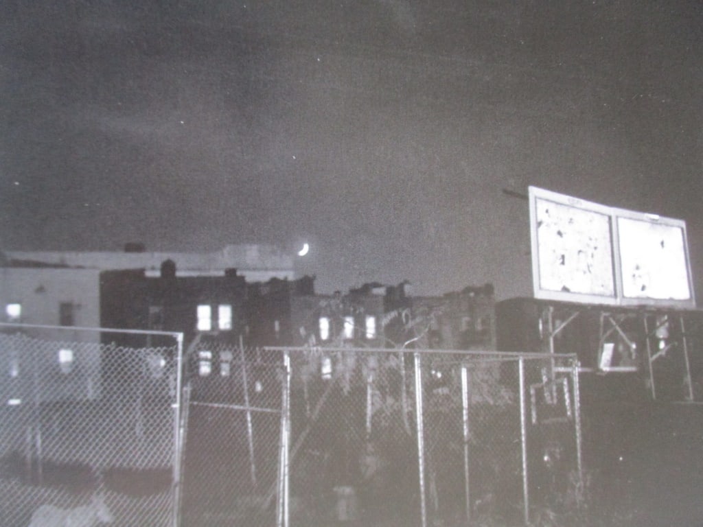 The Fence - Emma Wilcox (1 of 4)