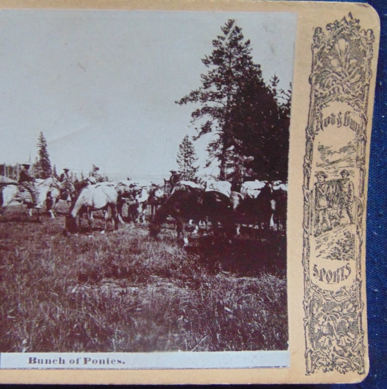 Lot Stereoviews Including Rod and Gun: Lot Stereoviews Including Rod and Gun 4 Cards, 2 Rod & Gun including Bunch of Ponies & Across the Carry At Last. 1 Niagara Falls & 1 The Night Mare. All in very good condition with decorated side pane