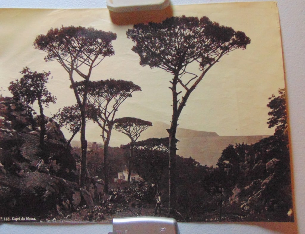 Capri da Massa - Robert Rive 1817 - 1868: Capri da Massa Taken in the 19th century by a photographer named Robert Riva. The photo is a black and white photograph of the island of Capri, Italy. It was taken from the town of Massa Lubrense,