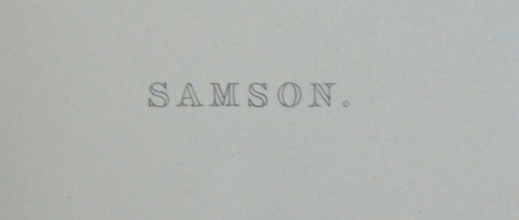 Samson - 4