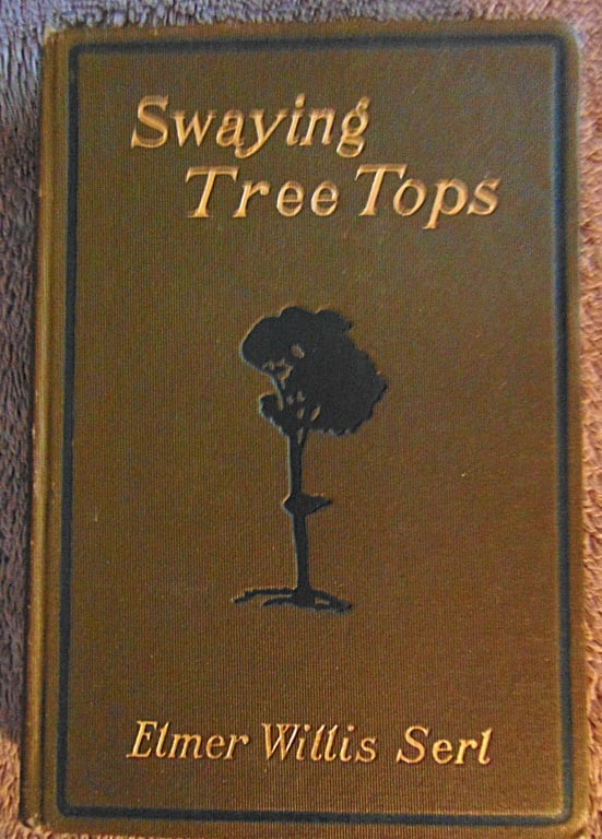 Swaying Tree Tops - Decorated Cover 1st: Swaying Tree Tops Dark gree cover with line border and tree image center. Decorated border. Author: Elmer Willis Sert Dated: 1907 Publisher: Neale Publishing Edition: 1st Edition Size: 8vo Binding: