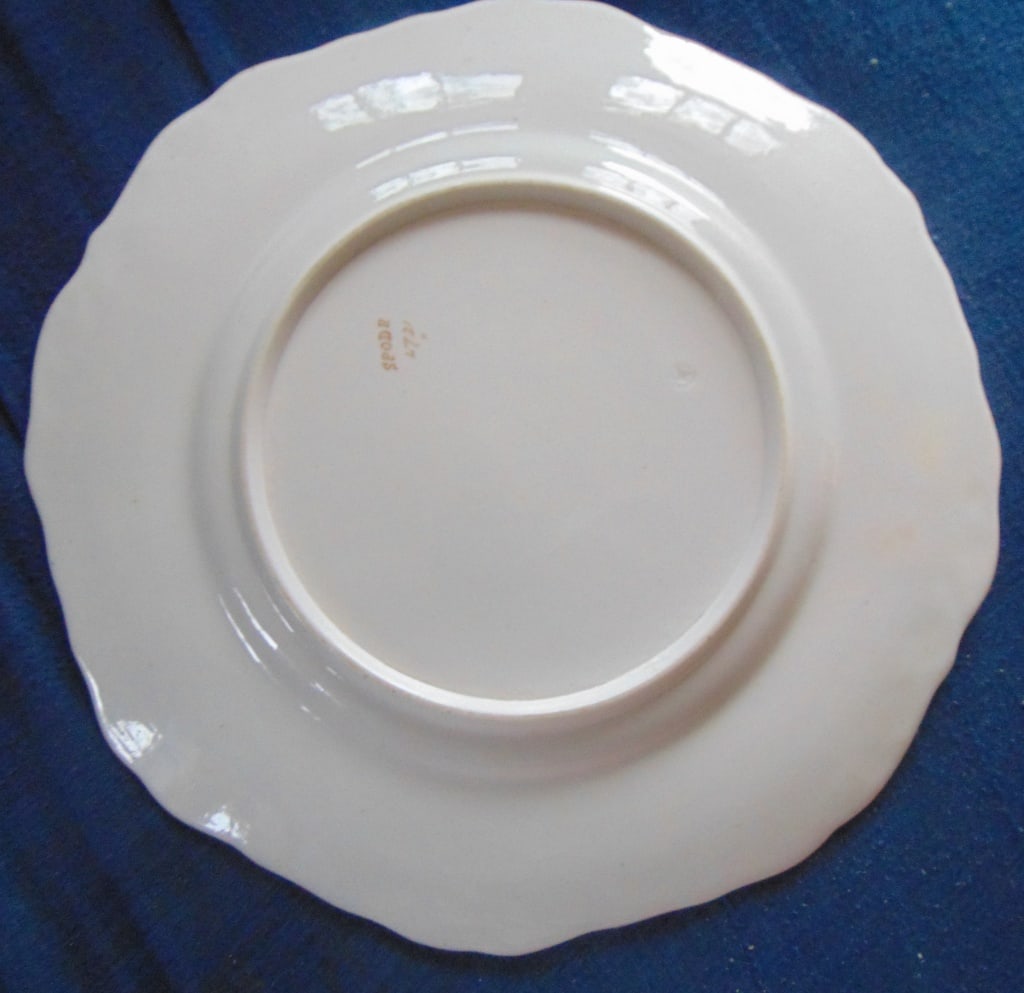 Spode Pembroke 1828 - 4