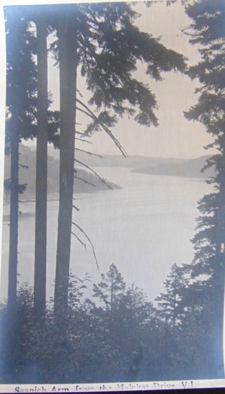 Ernest Crocker - Saanich Arm - Victoria (1 of 3)