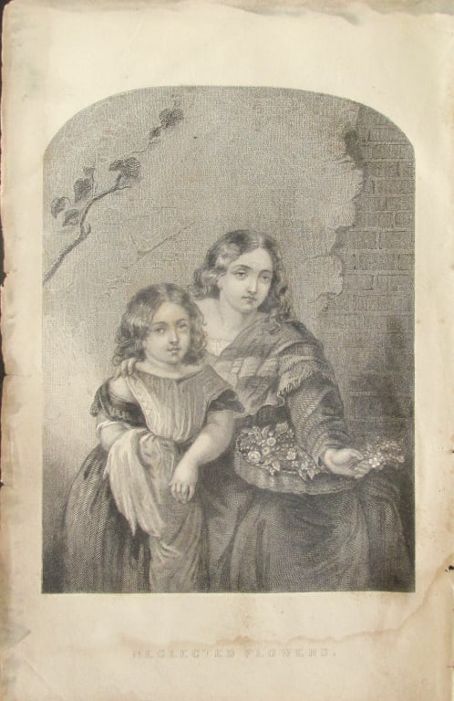 Neglected Flowers: Neglected Flowers Print Type: Engraving Date: c1859 Dimensions: 9 x 6 Condition Report: Staining and toning. Poor, Subject References: 153F