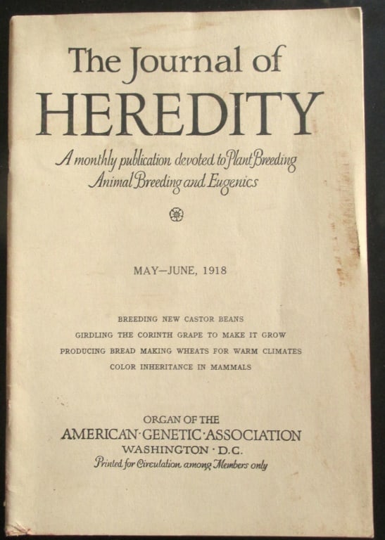 Producing Bread Making Wheats etc.: The Journal of Heredity - May to June 1918 For research. Four articles 1. Breeding New Castor Beans - 2. Girdling the Corinth Grape to Make It Grow - Producing Bread Making