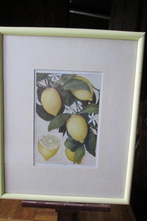 Lemons - 2