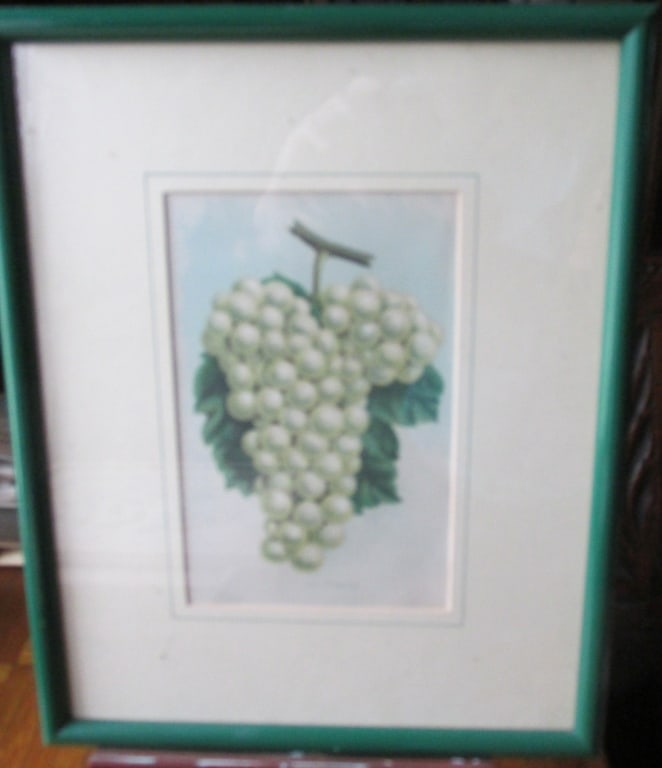 The Diamond [Grapes] (1 of 3)