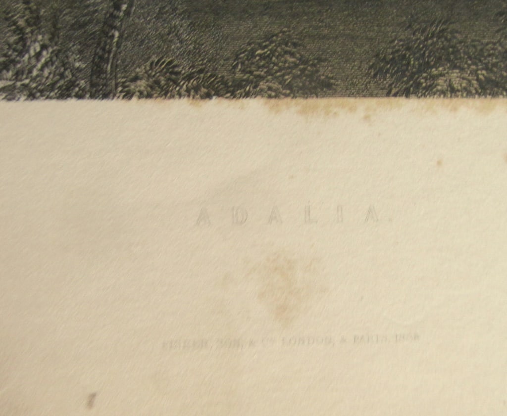 Adalia - 3