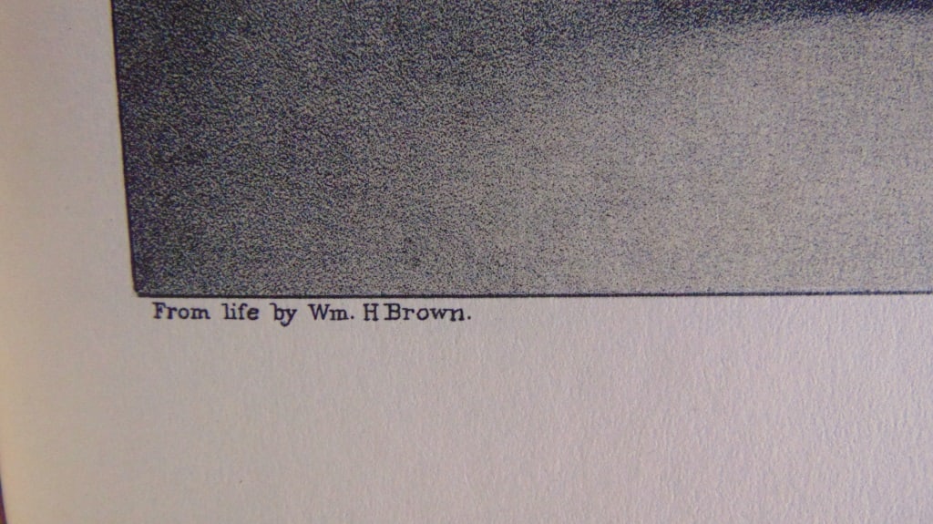 Silas Wright - Brown & Kellogg - 3