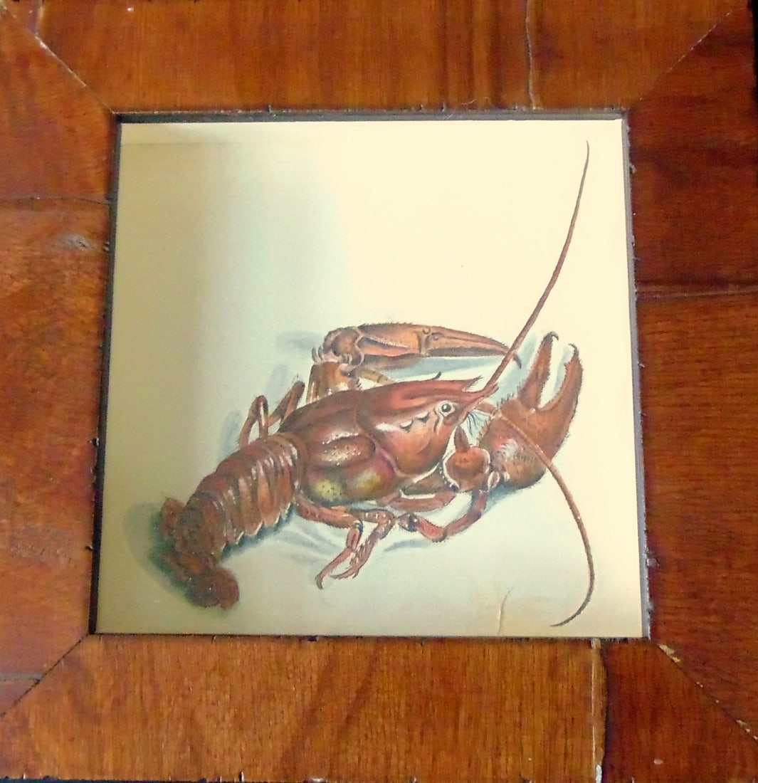 Lobster - In Shadow Box (1 of 5)