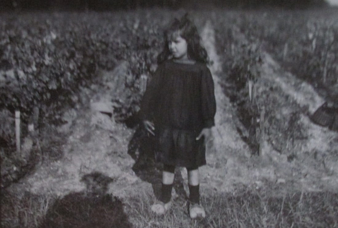 Vineyard Child Near Bordeaux - Lewis W. Hine: Vineyard Child Near Bordeaux From the Original Lewis W. Hine negative in the George Eastman House (1918) #11 Photographer: Lewis W. Hine Dated: 1970 S