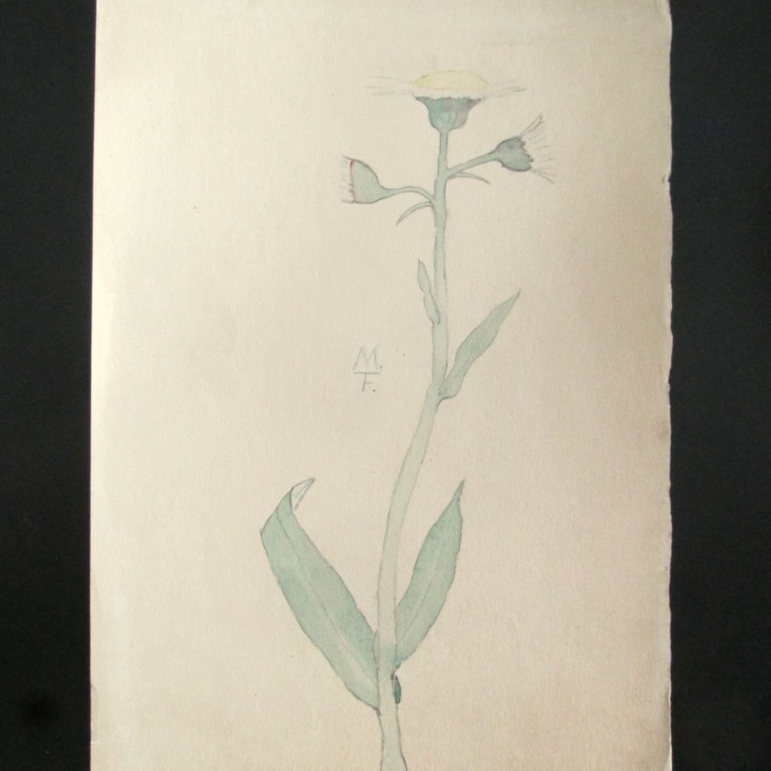 Flower - Mildred Grade 8 School Girl Art (1 of 3)