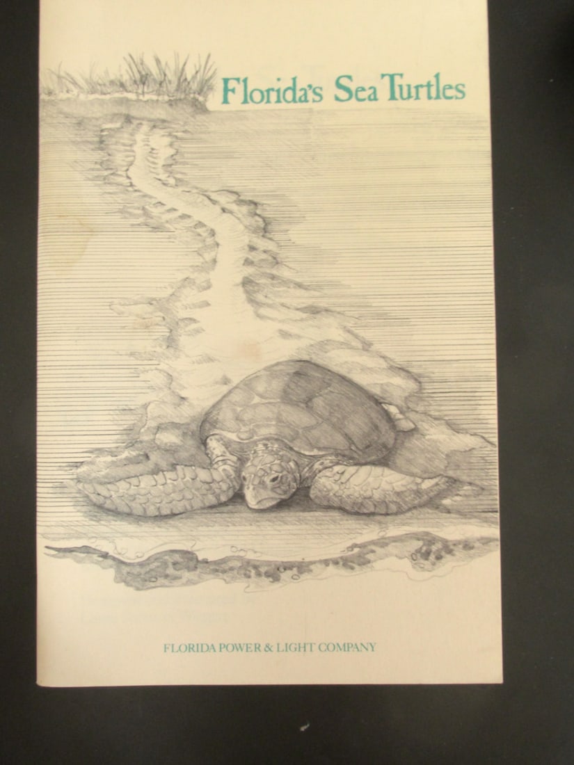 Florida Sea Turtle: Florida Sea Turtles. Author: Victoria Brook Van Meter Illustrations: Laura Sartucci Wiegert Dated: 1987 Pages: 46 Size: 8vo Binding: Trade Wraps Type: Zoology Subject: Turtles Condition Report: Few