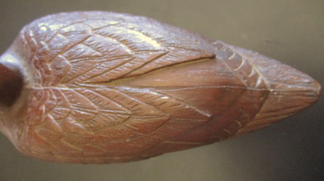 Brown Duck - 3