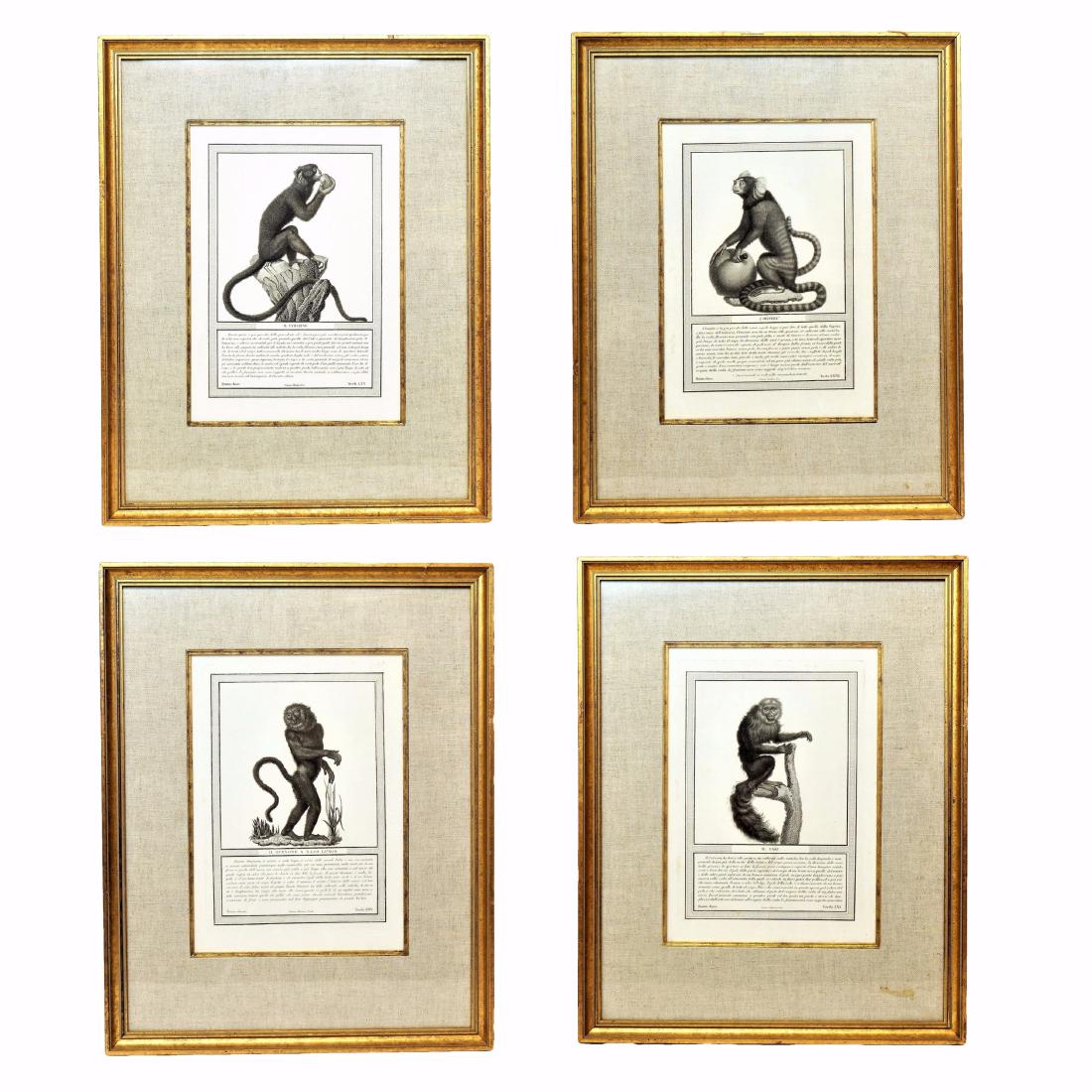 4 Framed Monkey Prints (1 of 9)