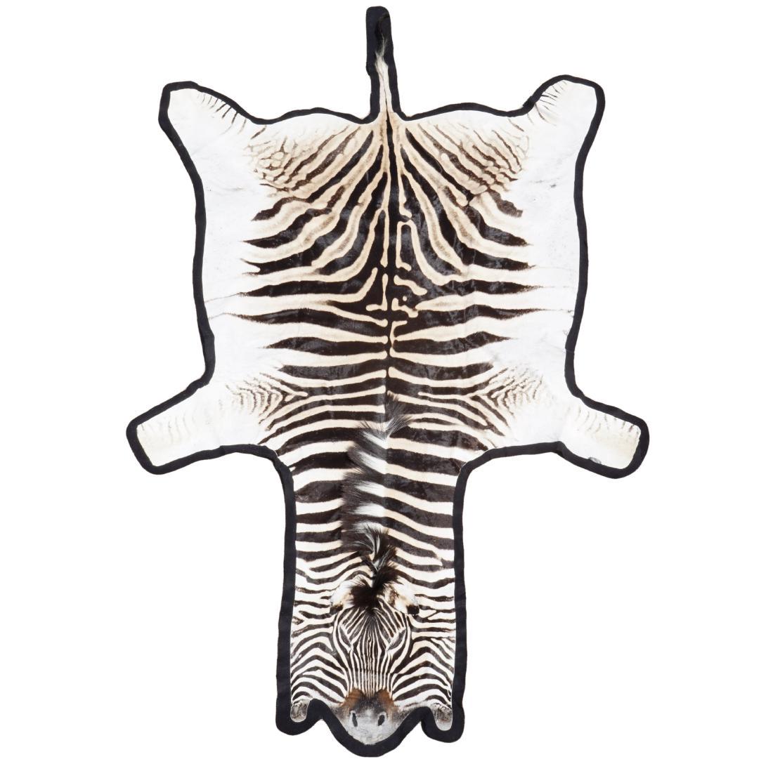 Zebra Skin Rug (1 of 3)