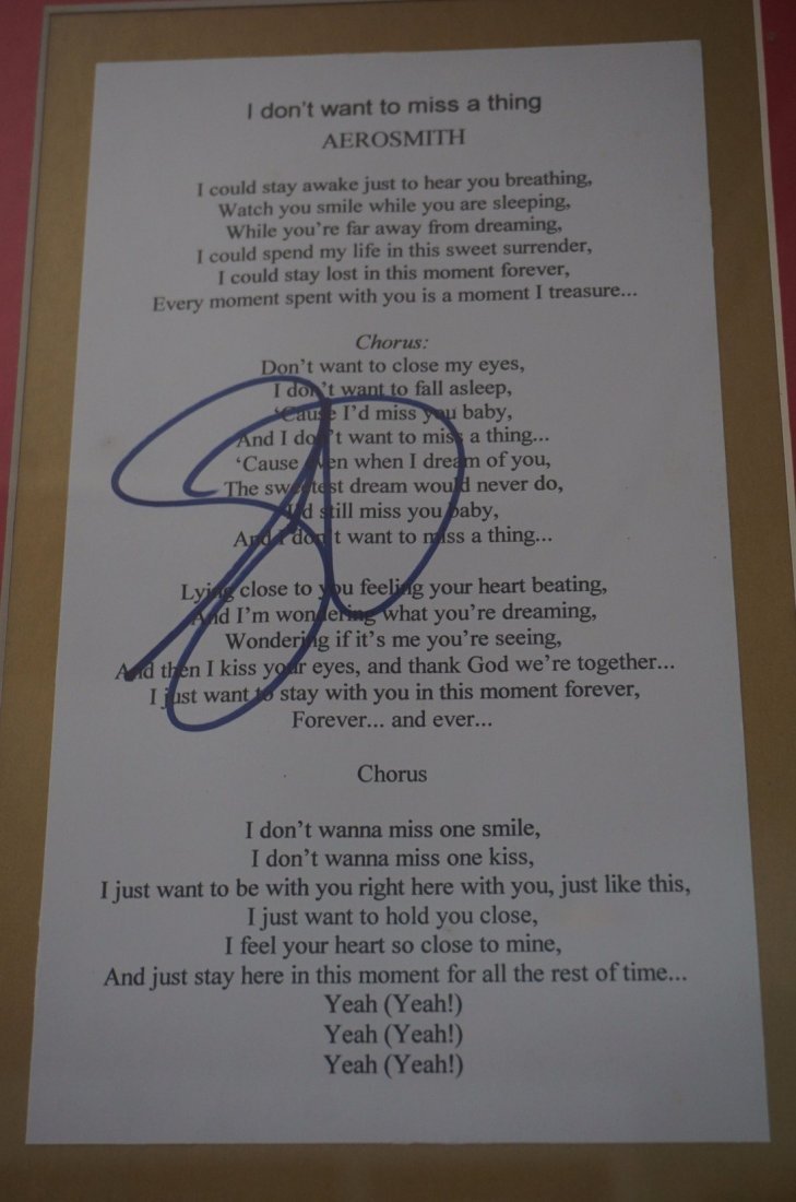 Steven Tyler Signed " I Don't Want to Miss a Thing" (1 of 3)