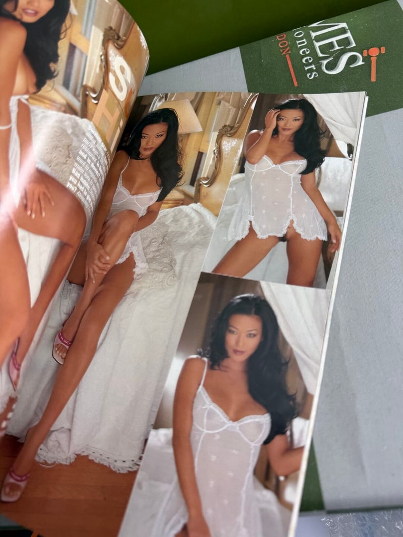 Adult Entertainment-Rare Playboy Top 20 Lingerie Special Edition Magazine - 4