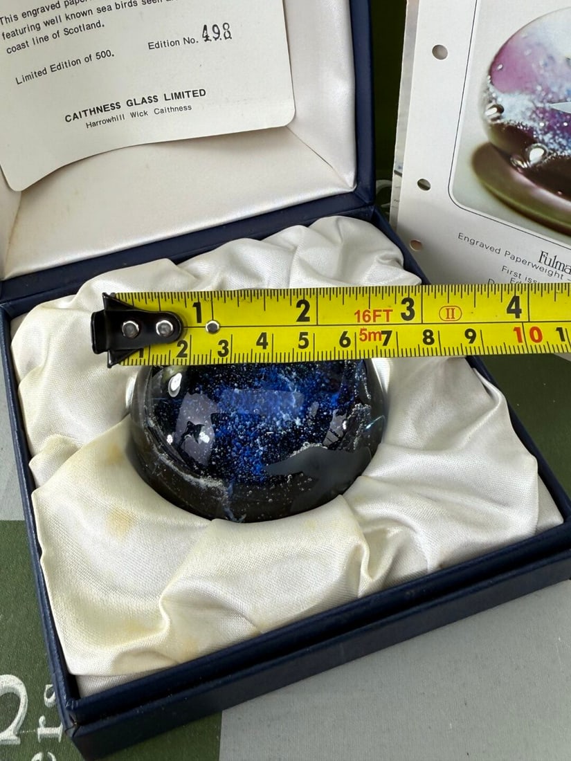 Caithness Scottish Fulmar Vintage Glass Paperweight - 5