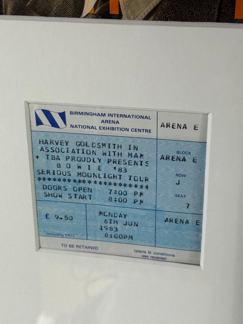 David Bowie One Of A Kind Signed Cd/Vinyl Pop Framed Montage - 5