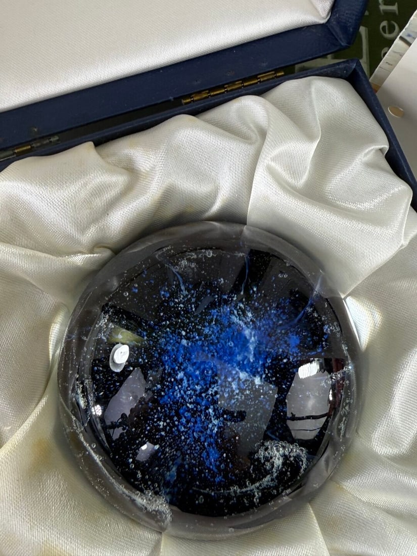 Caithness Scottish Fulmar Vintage Glass Paperweight - 3