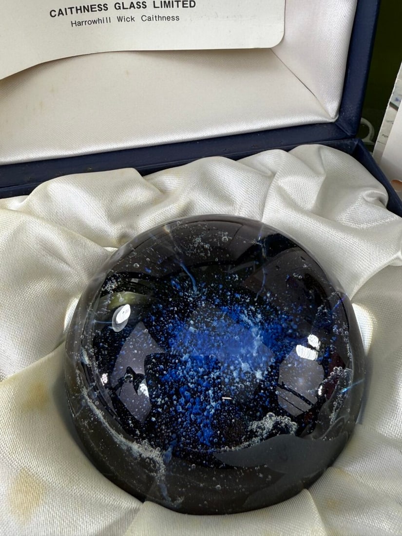 Caithness Scottish Fulmar Vintage Glass Paperweight - 6