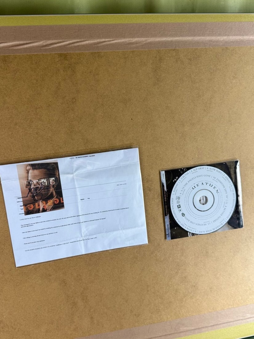 David Bowie One Of A Kind Signed Cd/Vinyl Pop Framed Montage - 10