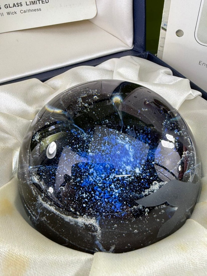 Caithness Scottish Fulmar Vintage Glass Paperweight - 2