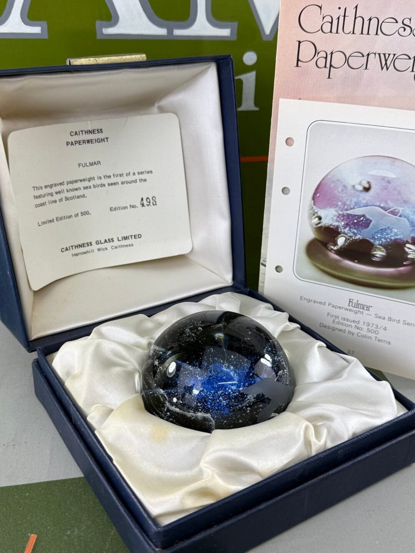 Caithness Scottish Fulmar Vintage Glass Paperweight - 4
