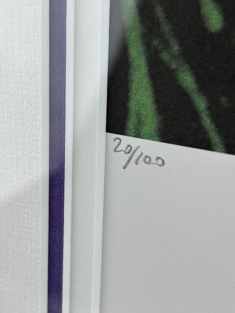 Andy Warhol (1928-1987) Flowers Lithograph - 4