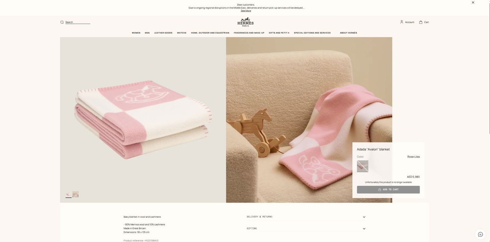 Hermes Paris Large Cashmere Adada Blanket - 6