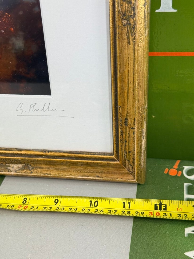 Elephant Charging Signed By Artist High Quality Framed Example - 4