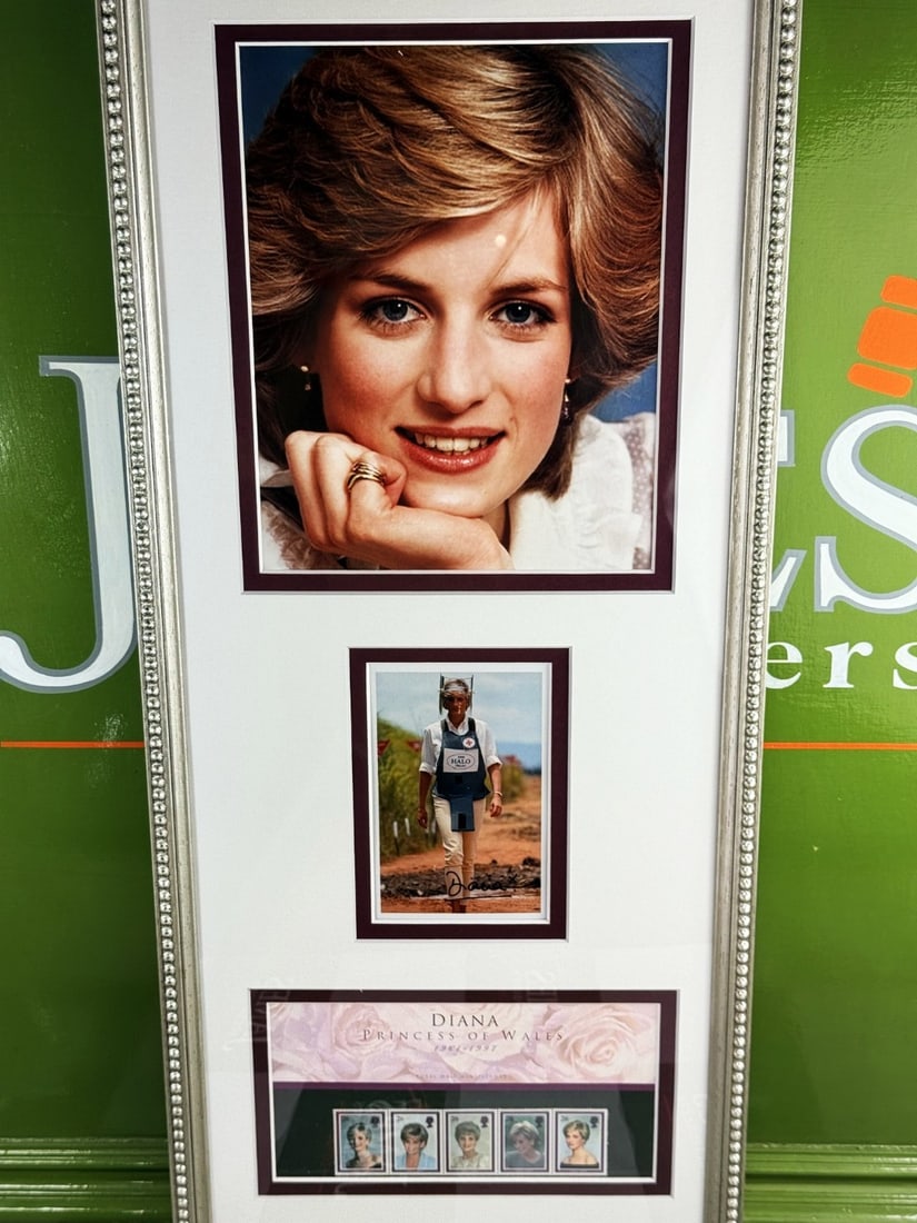 Princess Diana Picture Royal Mail Stamp Montage Professionally Framed - 2
