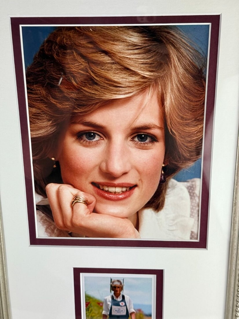 Princess Diana Picture Royal Mail Stamp Montage Professionally Framed - 6