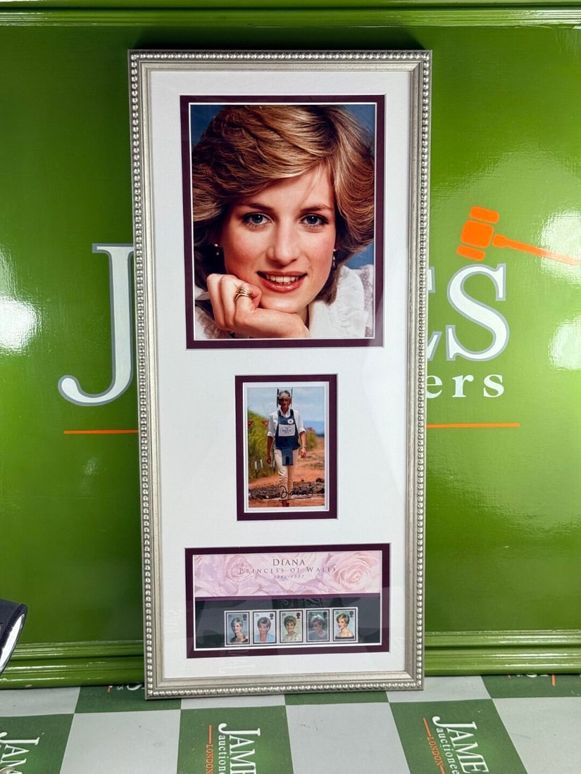 Princess Diana Picture Royal Mail Stamp Montage Professionally Framed - 7