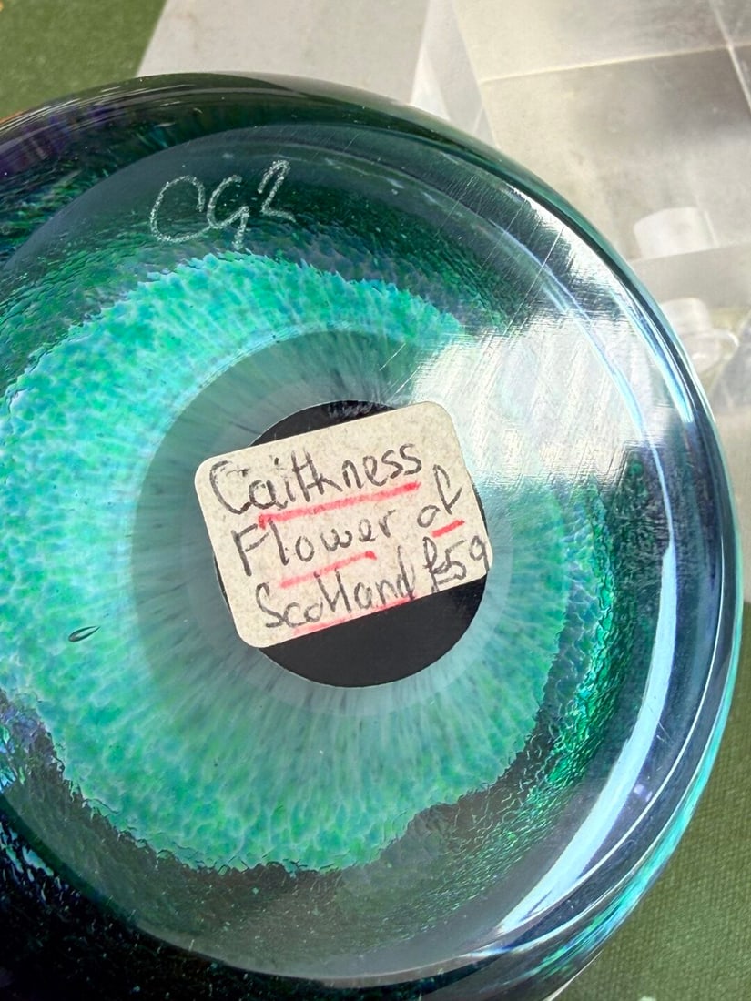 Caithness Flower Of Scotland Vintage Paperweight - 4