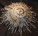 Swarovski Crystal Art Deco Sputnik Chandelier 1