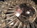 Swarovski Crystal Art Deco Sputnik Chandelier 1 - 8