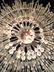 Swarovski Crystal Art Deco Sputnik Chandelier 2 - 3