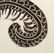 Chinese Cizhou kiln Porcelain Vase - 9