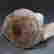item-93979268=3
