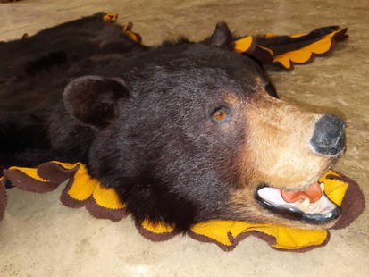 Awesome bear rug: Awesome bear rug Nice condition!!