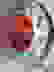 item-105272967=2