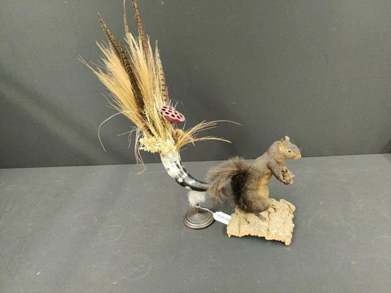 Taxidermy Squirrel and Bull Horn Flower Holder (1 of 4)