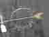 item-126391961=3