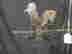 item-126391961=4