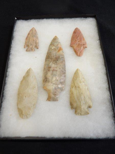 5 Arrowheads in showcase (1 of 5)