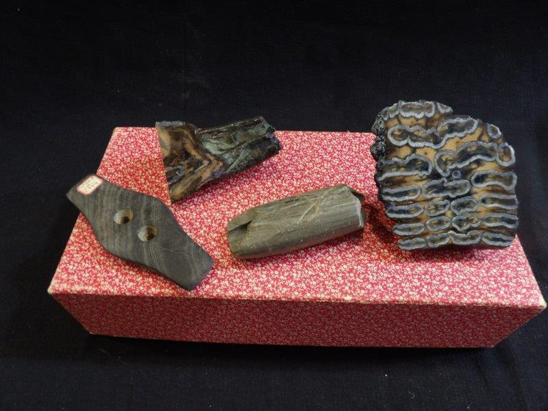 4-piece artifacts and fossils: all are similar in size, approximately 3 to 4 in Long.