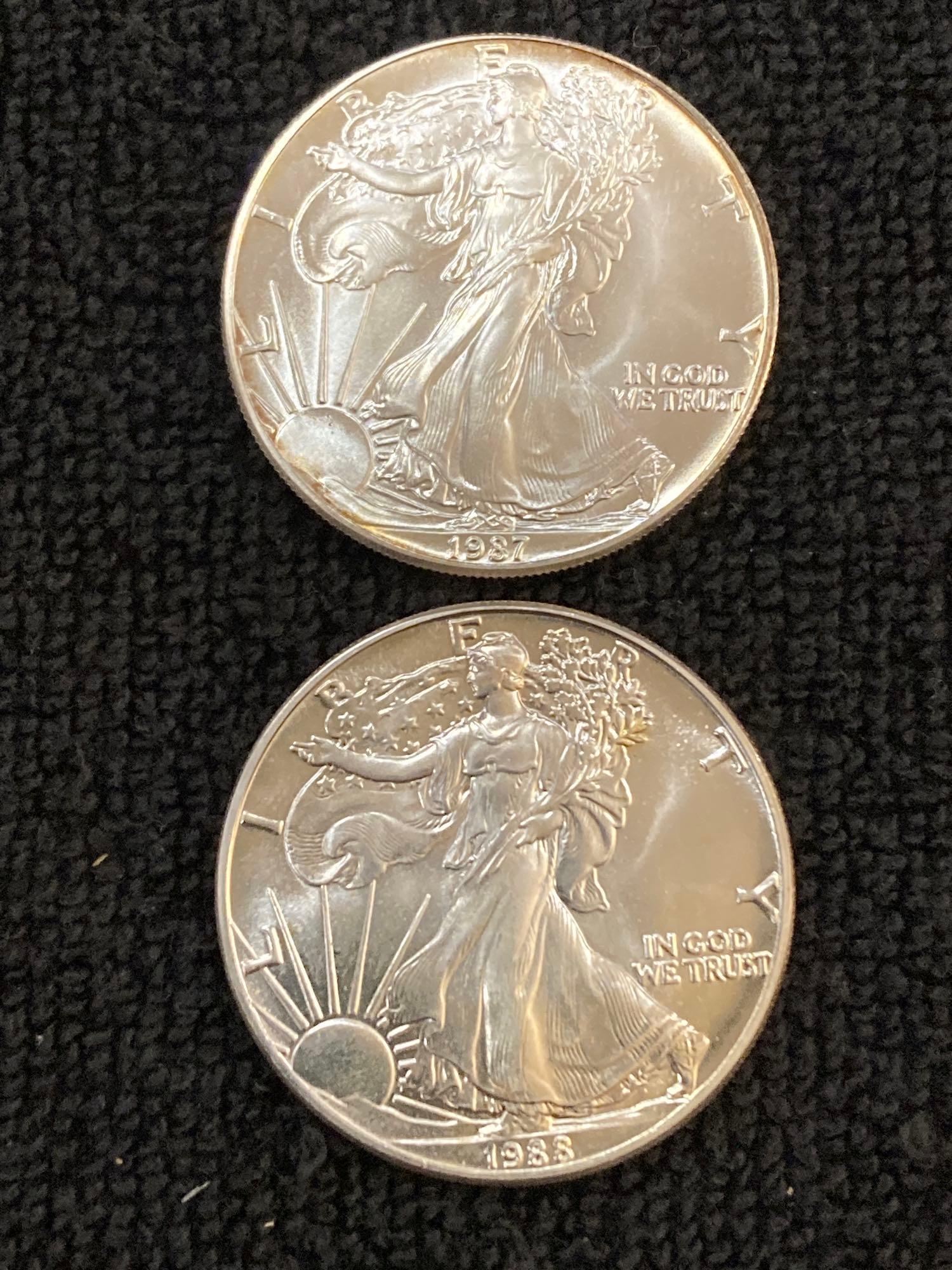 2- 1 OZ Silver Eagles (1 of 4)